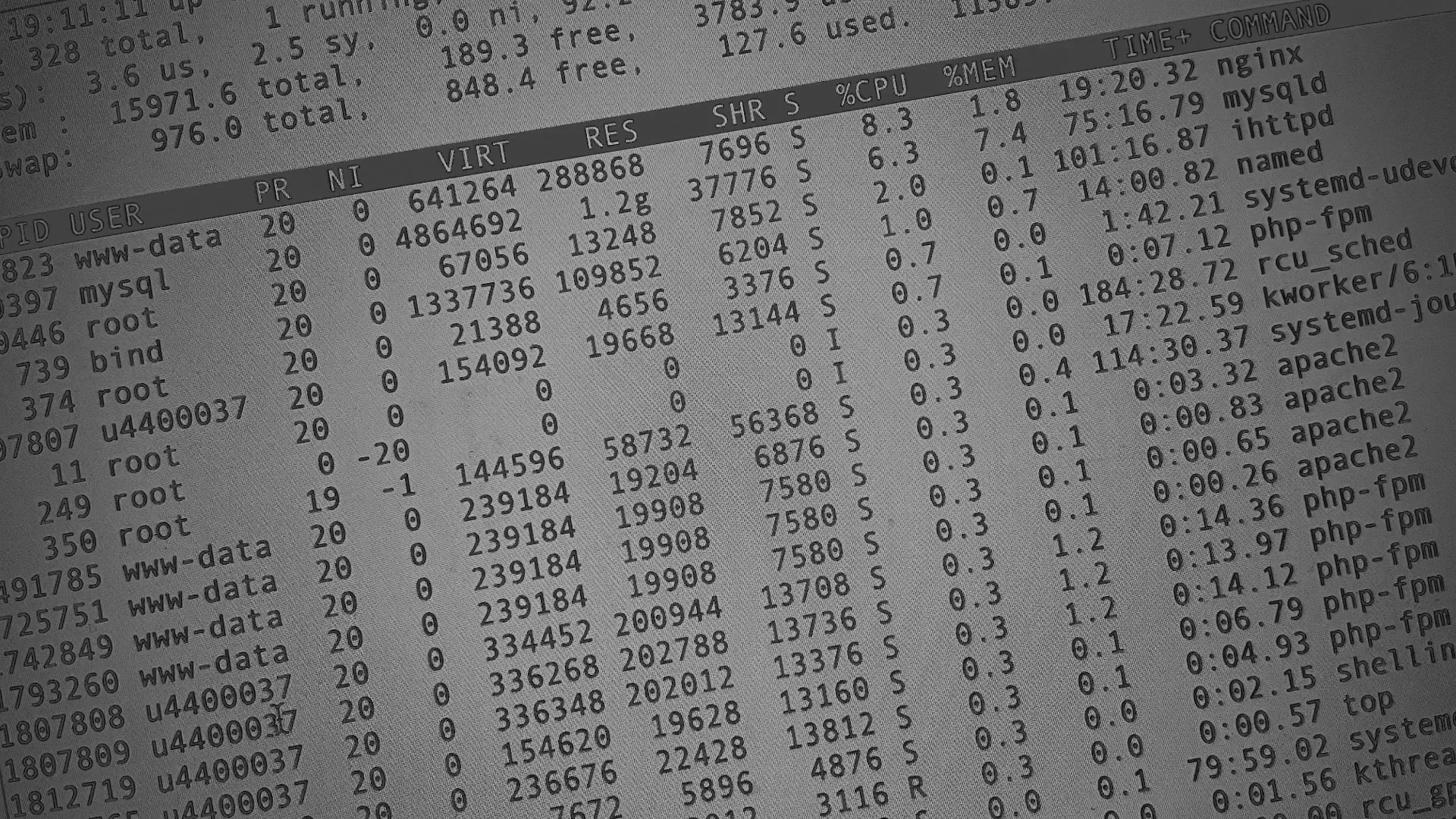 Настройка сервера в Коврове