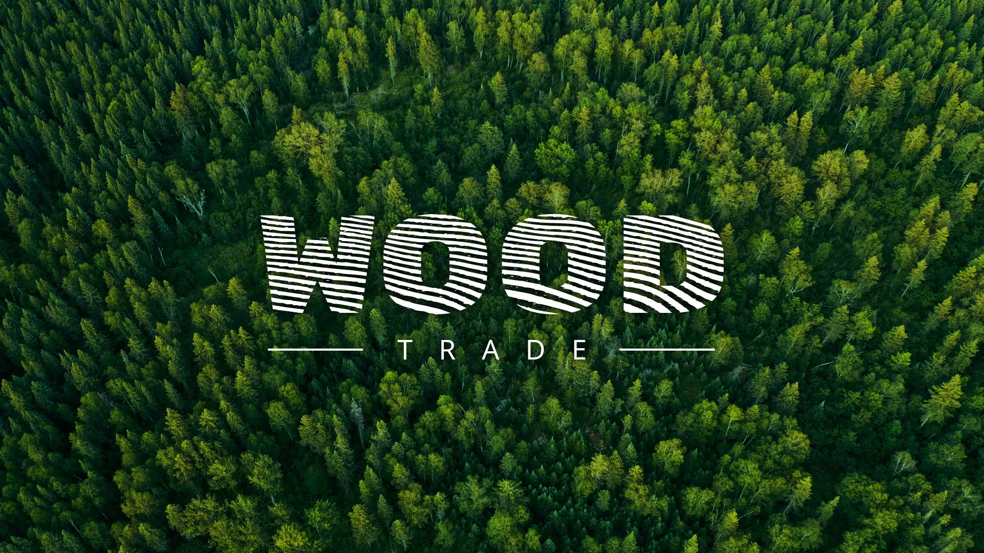 Разработка интернет-магазина компании «Wood Trade» в Коврове