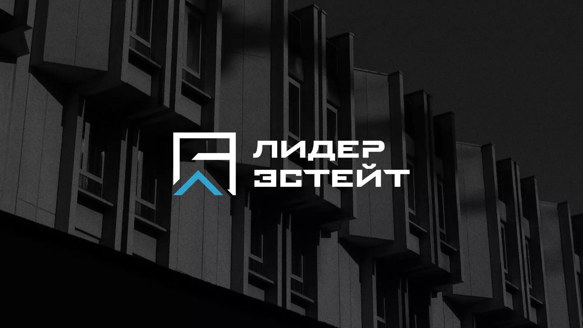 Разработка логотипа агентства недвижимости «Лидер Эстейт» в Коврове